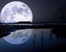 Такого не делал никто: астроном впервые в истории запечатлел обратную сторону Луны (фото)