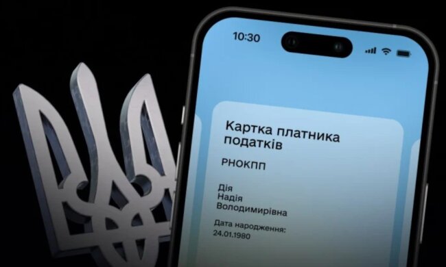 Автоматическое взыскание налогов и долгов через "Действие". Фото: Telegram