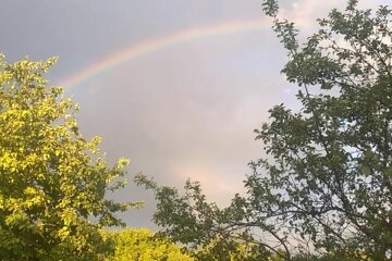 Радуга. Фото: скриншот YouTube-видео