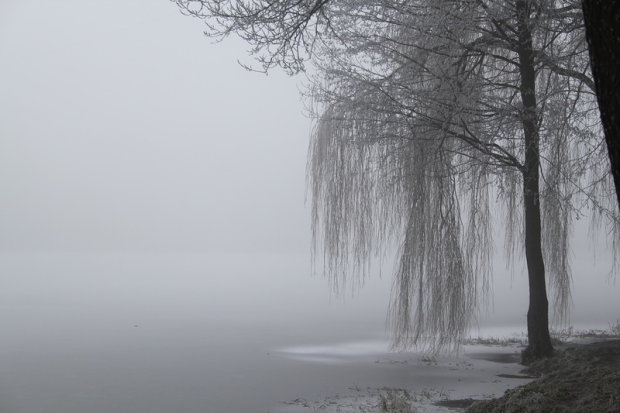 В Украине будет туманная погода. Фото иллюстративное