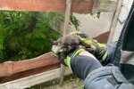 Рятувальники визволяють кошеня з бетонної пастки у Кременчуці