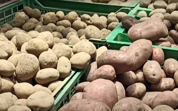 Картофель. Фото: скриншот YouTube-видео