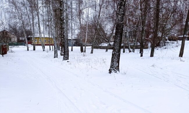 Погода в Украине. Фото: YouTube, скрин