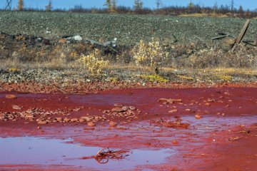 Река Млынивка стала красной