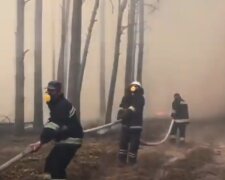 На Донбассе горит лес. Фото: скриншот YouTube-видео