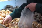 Лук. Фото: скриншот YouTube-видео