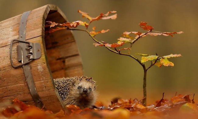 Погода на 11 октября 2019 года