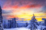 Природа. Фото: скриншот YouTube-видео