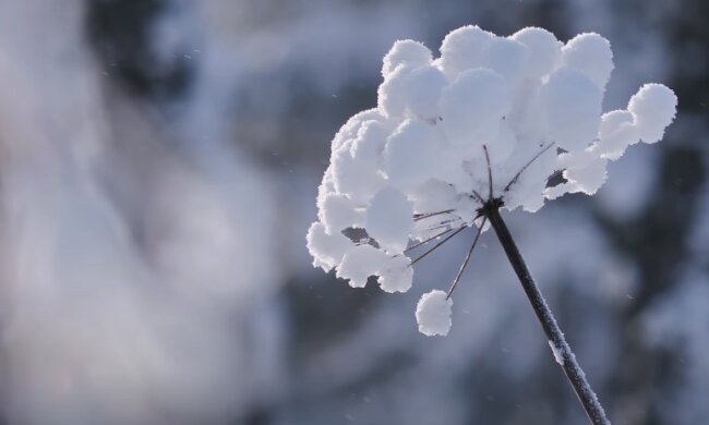 Погода в Украине. Фото: YouTube, скрин