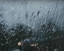 Дождь. Фото: YouTube, скрин