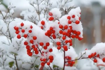Народные приметы. Фото: скриншот Youtube