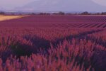 Природа. Фото: скріншот відео YouTube