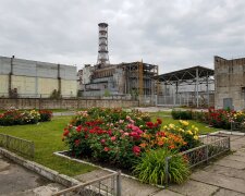 Чорнобильська АЕС троянди квіти