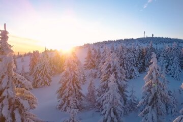 Природа. Фото: скриншот YouTube-видео