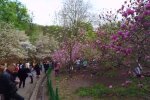 Парк в Киеве. Фото: скриншот YouTube-видео