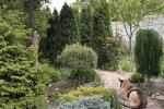 Шкідники в саду: чому черемха може стати проблемою для вашої ділянки
