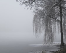 В Украине будет туманная погода. Фото иллюстративное