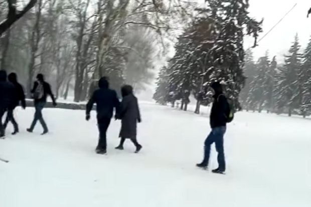 В Закарпатье выпал снег