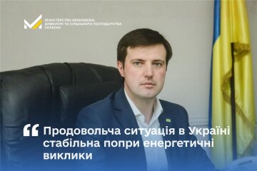 Тарас Высоцкий: Продовольственная ситуация в Украине стабильна, несмотря на энергетические вызовы