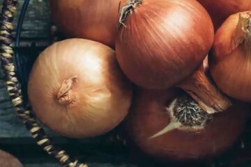 Лук. Фото: YouTube