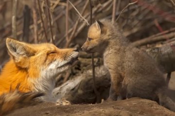 Погода на 15 февраля 2020 года