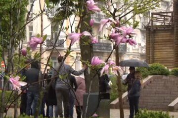 Погода в Україні навесні. Фото: скріншот YouTube-відео