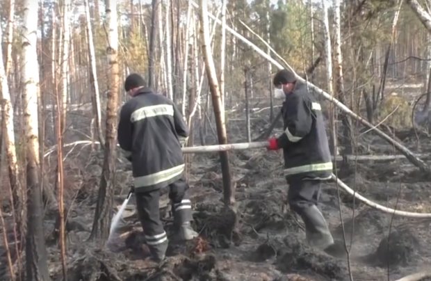 На Житомирщине новые пожары. Фото: youtube