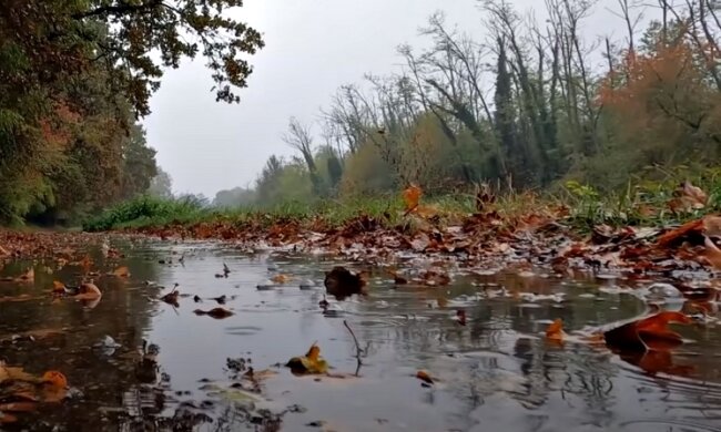 Погода в Україні. Фото: скріншот Youtube-відео