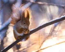 Погода на 12 декабря 2019 года