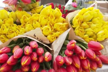 Синоптики рассказали о погоде 8-го марта. Фото: скриншот YouTube