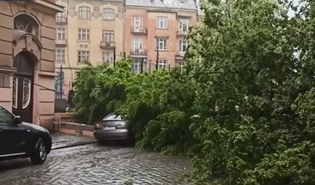 Дожди и ураганы в Украине. Фото: скрин youtube