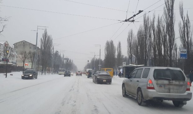 Сніг в Україні. Фото: Стіна