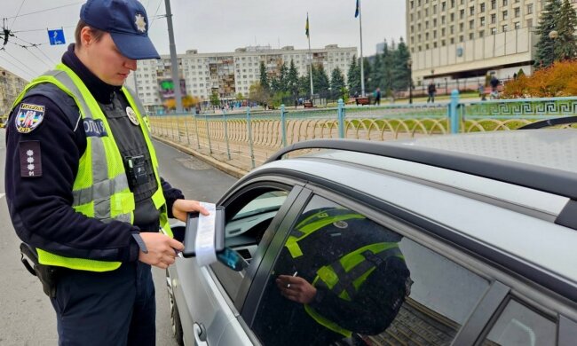 Водителям рассказали, нужна ли замена пожизненных прав на новые