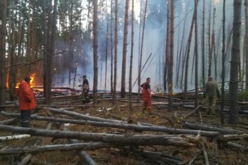 Чернобыльский лес продолжает гореть: спасатели рассказали о ситуации, стоит ли паниковать