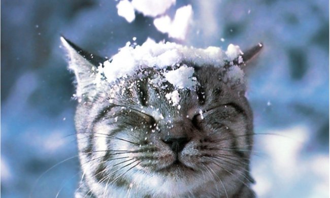 Погода на 14 декабря 2019 года