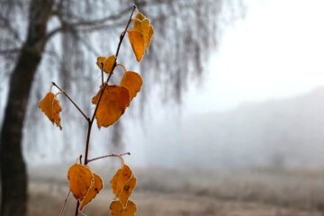 Погода, осень. Фото: YouTube