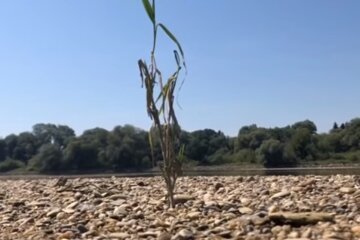 Глобальное потепление. Фото: YouTube, скрин