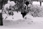 Снігова погода. Фото: скріншот YouTube-відео