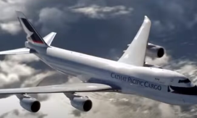 Куда катится этот мир: девушка возмутила странной выходкой с трусами в самолете, фото