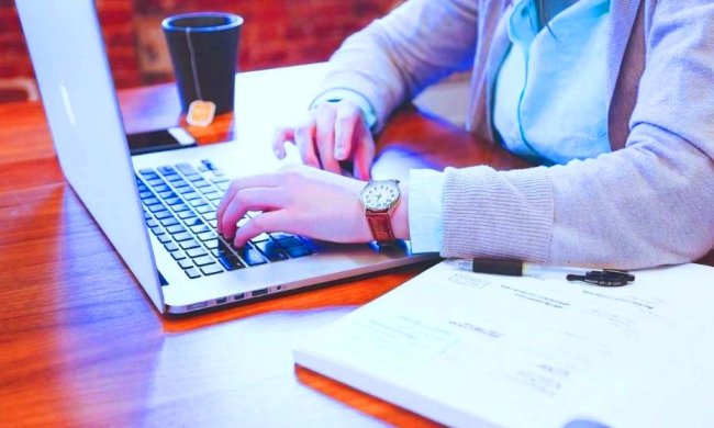 Заработок во время карантина. Фото: vesti.ua