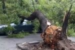 Последствия непогоды. Фото: скриншот YouTube-видео