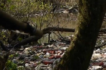 Горы мусора и жуткий запах: в Днепре канал загрязняет все живое, дошло до области