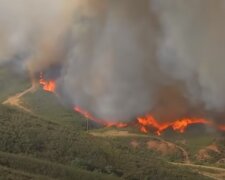 Страну охватили лесные пожары: люди в спешке покидают свои дома, спасатели не в силах сдержать пламя