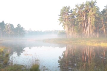 Природа. Фото: скриншот YouTube-видео