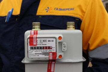 Українцям розповіли, який документ потрібно мати для повірки газового лічильника. Фото: Газмережі