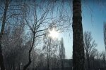 Природа. Фото: YouTube, скрин