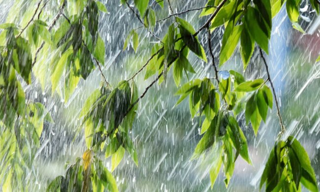 Прогноз погоды на завтра. Фото: скриншот  YouTube