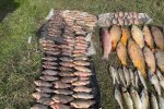 Аж до 15 червня рибалка заборонена: штрафи від 2686 грн за одну рибу — подробиці