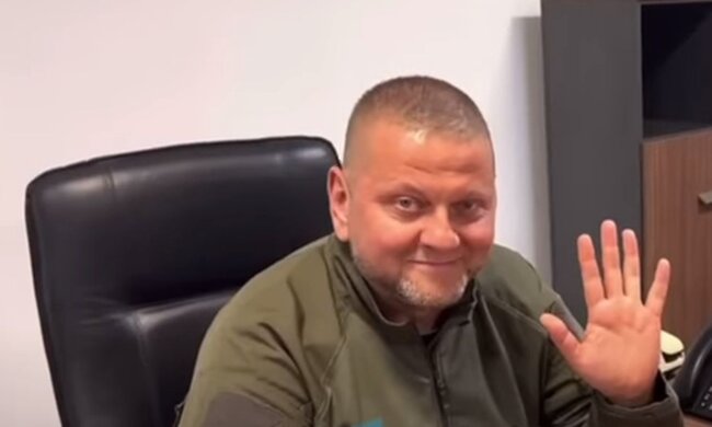 Валерій Залужний. Фото: скріншот із відео YouTube