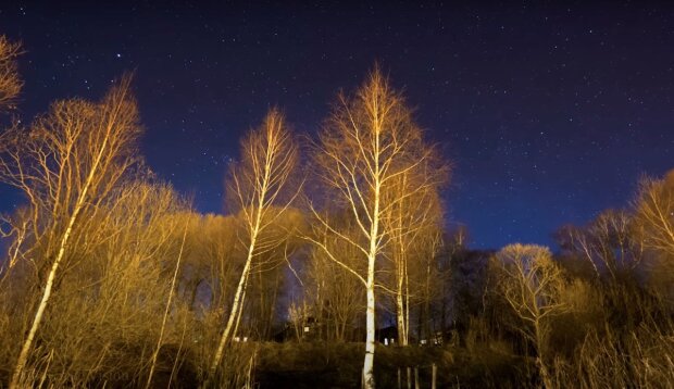 Зведное небо. Фото: YouTube, скрин